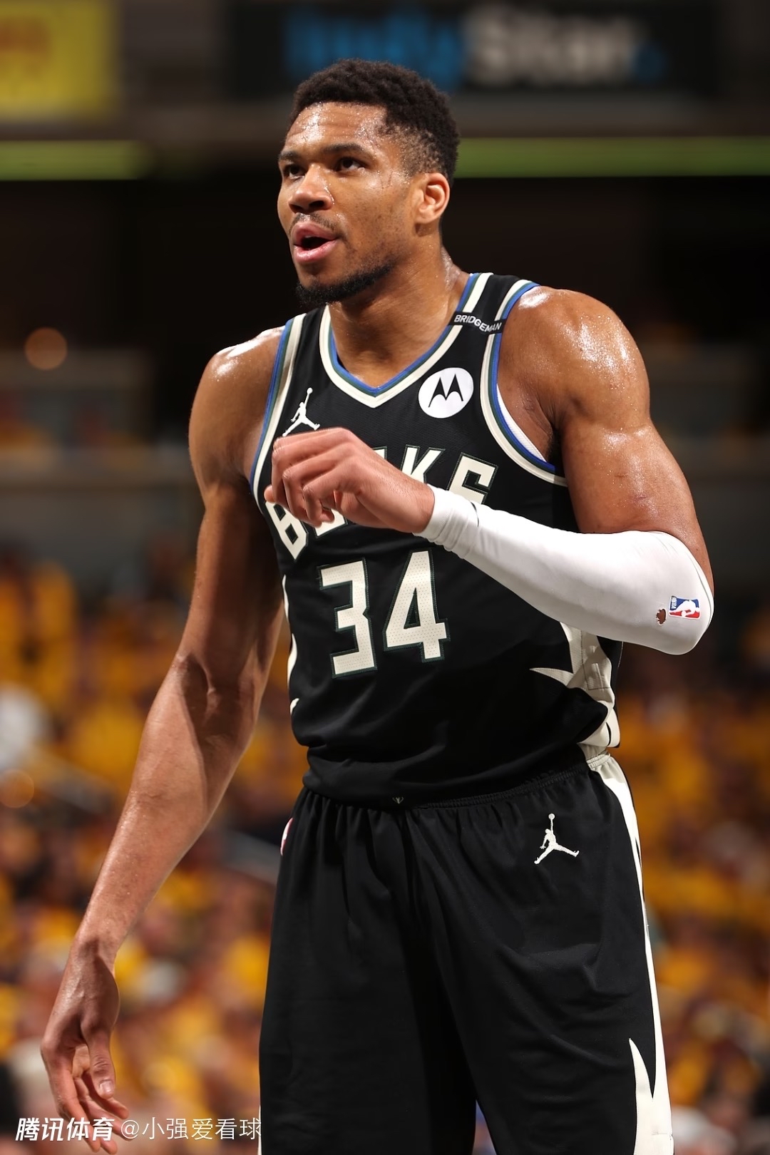 今晚密尔沃基雄鹿官宣签约——NBA季后赛节点到来，话题不断，年轻球员得到机会的简单介绍-ayx爱游戏官方入口